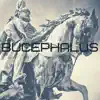 HeroicMonk - Bucephalus - Single